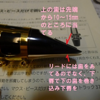 マウスピースを吹く歯を当てる位置.jpg